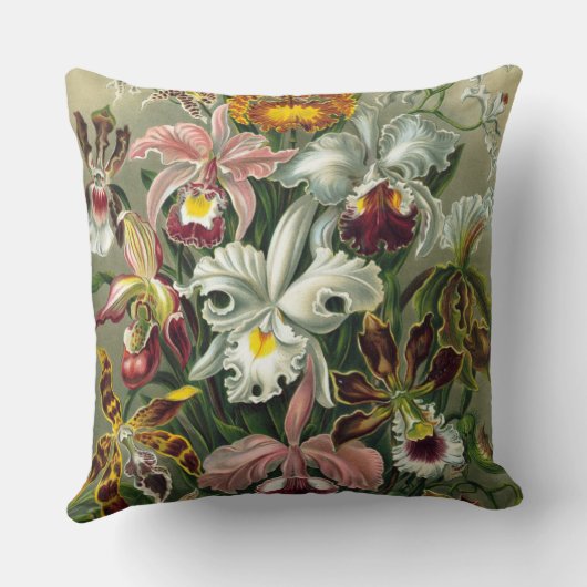 ファインアートラン – アート型枠の自然 クッション (裏面)