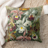 ファインアートラン – アート型枠の自然 クッション (ブランケット)