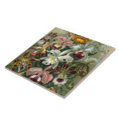 ファインアートラン – アート型枠の自然 タイル (側面)