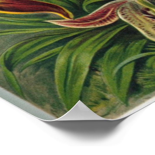 ファインアートラン – アート型枠の自然 ポスター (角)