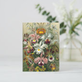 ファインアートラン – アート型枠の自然 ポストカード (スタンド正面)