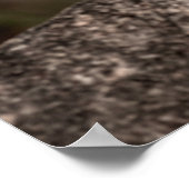 ファインアート像(雄ヒョウまたはヒョウポートレート) ポスター (角)