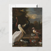 ファインアート鳥 ポストカード (正面/裏面)