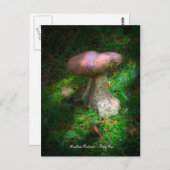 ファインアート、ウッドランドマッシュルーム – ペニーバン、ポルチーノ ポストカード (正面/裏面)