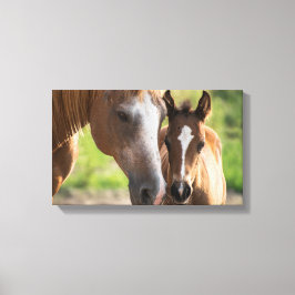 ファウル  | Zazzle_Growshop。 キャンバスプリント