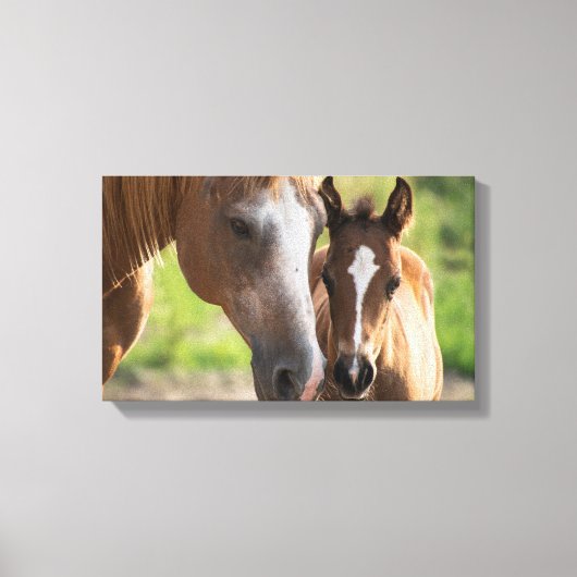 ファウル  | Zazzle_Growshop。 キャンバスプリント (正面)