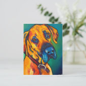 ファウングレートデーン ポストカード (スタンド正面)