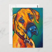 ファウングレートデーン ポストカード (正面/裏面)