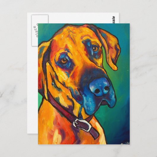 ファウングレートデーン ポストカード (正面/裏面)