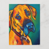 ファウングレートデーン ポストカード (正面)