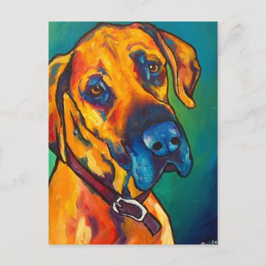 ファウングレートデーン ポストカード (正面)