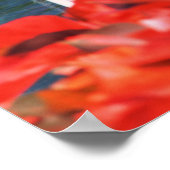 ファウンツィンセントショーズガーデン ポスター (角)