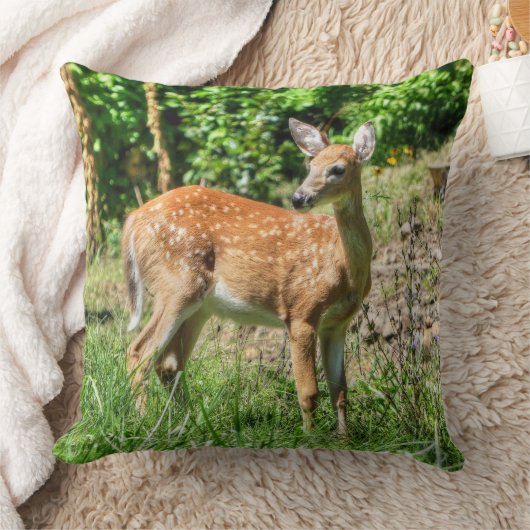 ファウン クッション (ブランケット)