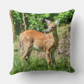 ファウン クッション (裏面)