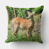 ファウン クッション (正面)