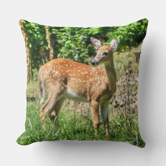 ファウン クッション (正面)