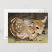 ファウン ポストカード (正面/裏面)