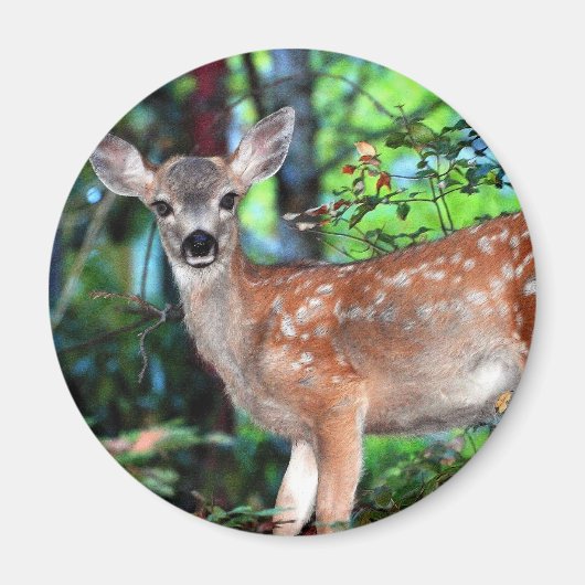 ファウン マグネット (正面)