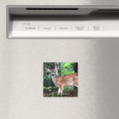 ファウン マグネット (インサイチュ (食洗機))