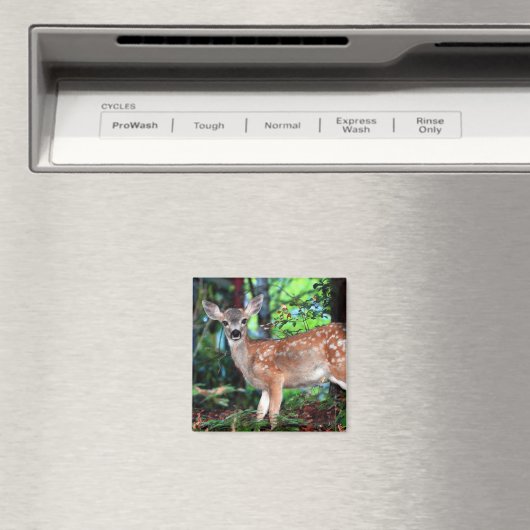 ファウン マグネット (インサイチュ (食洗機))