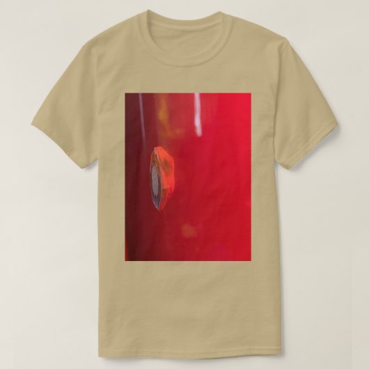 ファグ Tシャツ (デザイン正面)