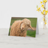 ファジーおもしろいベビーヤギ誕生日 カード (黄色い花)