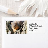 ファジーお尻 ラベル (インサイチュ)