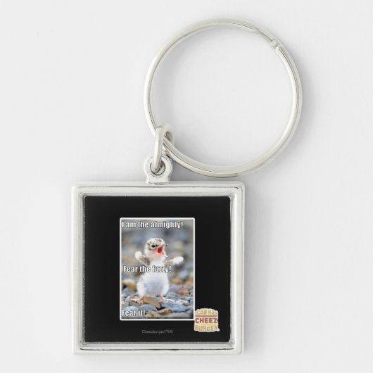 ファジーを恐れろ! キーホルダー (正面)