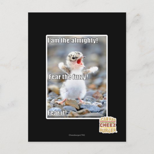ファジーを恐れろ! ポストカード (正面)