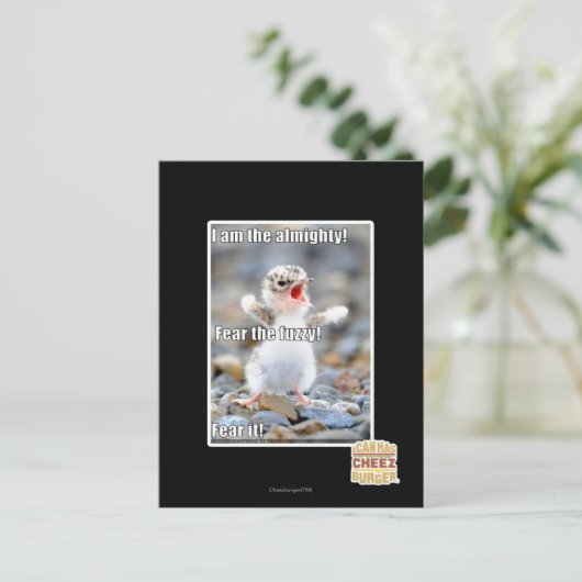 ファジーを恐れろ！ ポストカード (スタンド正面)