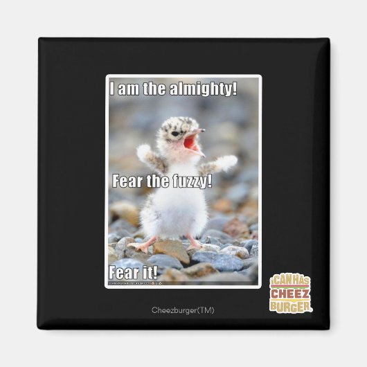 ファジーを恐れろ! マグネット (正面)