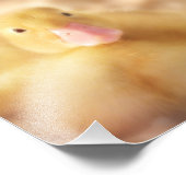 ファジーイエローダックイースターベビーダッククリング フォトプリント            (角)