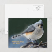 ファジー柔らかく穏やか頭が切れるで ポストカード (正面/裏面)