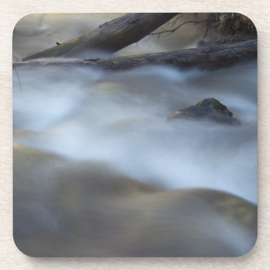 ファジー水6コルク コースター (正面)