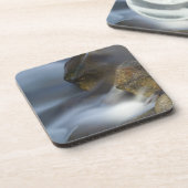 ファジー水9コルク コースター (左側)