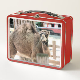 ファジー男 メタルランチボックス