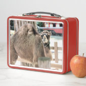 ファジー男 メタルランチボックス (インサイチュ)