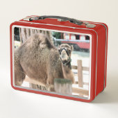 ファジー男 メタルランチボックス (裏面)