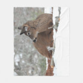 ファジー白い尾の鹿の子鹿 フリースブランケット (正面)