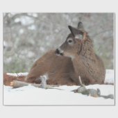 ファジー白い尾の鹿の子鹿 ラッピングペーパー (フラット)