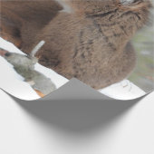 ファジー白い尾の鹿の子鹿 ラッピングペーパー (角)