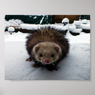 ファジー素晴らし ポスター