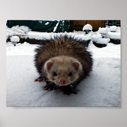 ファジー素晴らし ポスター (正面)