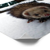 ファジー素晴らし ポスター (角)