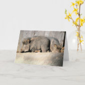 ファジー豚 カード (黄色い花)