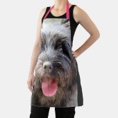 ファジー エプロン (インサイチュ)