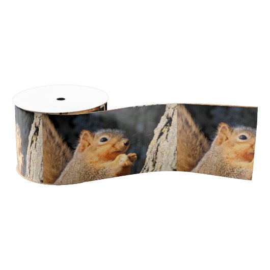 ファジー グログランリボン (リール)