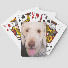 ファジー トランプ