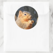 ファジー ラウンドシール (バッグ)