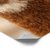 ファジー・ラマ ポスター (角)